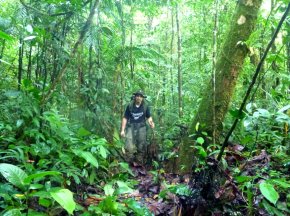 Stage de survie dans la jungle au Panama